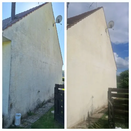 Pignon de maison verdi par les algues avant nettoyage, enduit clair après
