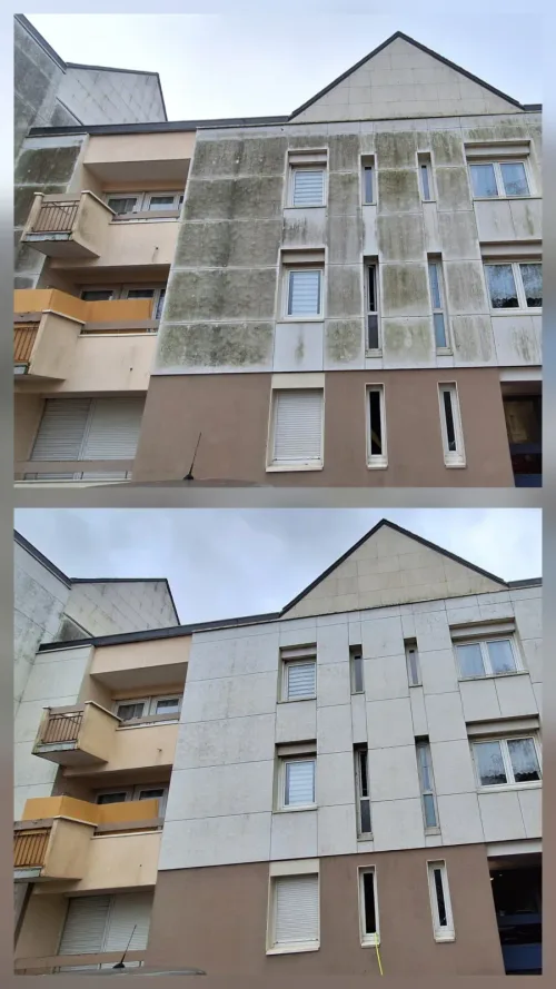 Façade d'immeuble collectif envahie de mousse verte avant nettoyage, panneaux béton propres après