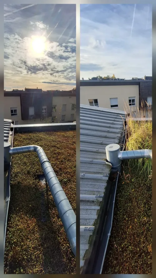 Toiture-terrasse végétalisée : nettoyage autour des conduits et de la rive en bac acier