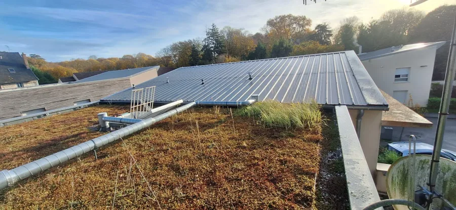 Toiture-terrasse végétalisée envahie par la végétation, avec gaines de ventilation et bac acier